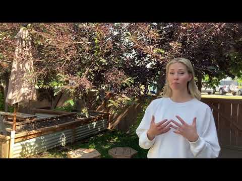 A Parent Speaks: ease of access to impressive outdoor environment