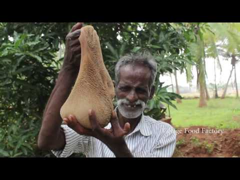 Daddy prepare a full Goat Intestine masala in my village / VILLAGE FOOD FACTORY