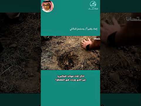 البكتيريا احياء اكسبلور  ترند معلومات   