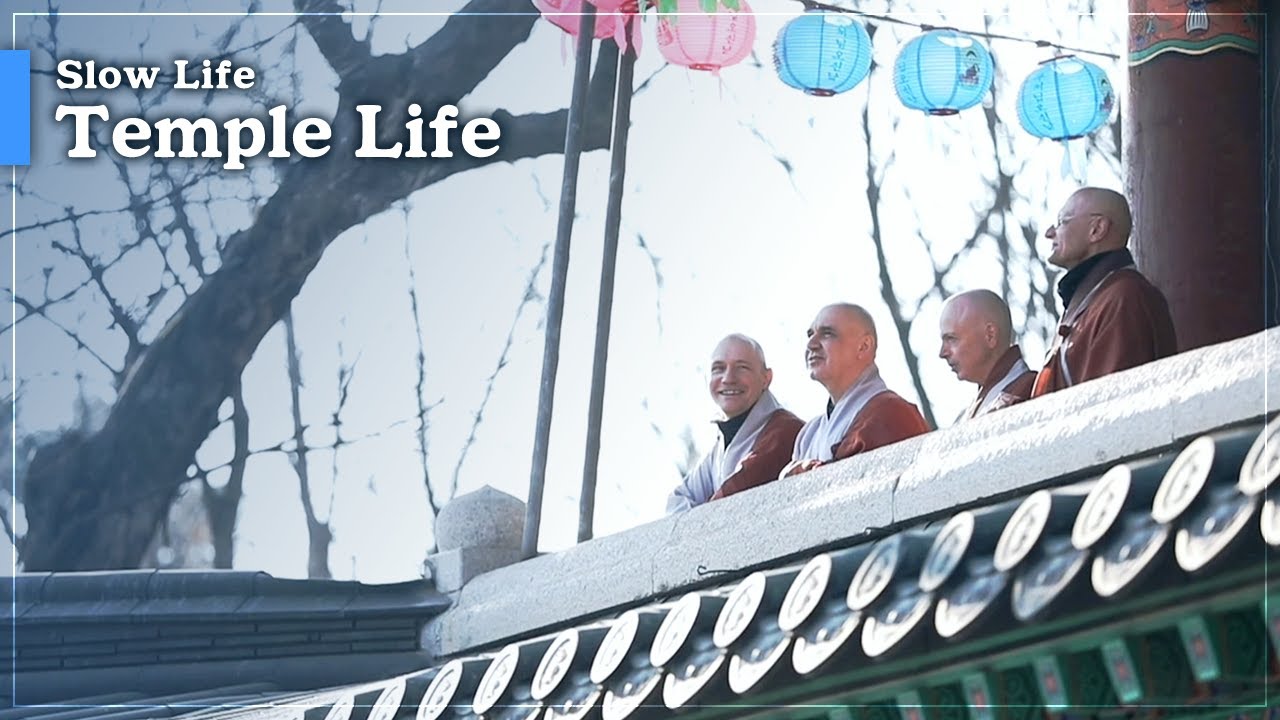 [Documentary A] Slow Life – Temple Life (푸른 눈의 수행자들)