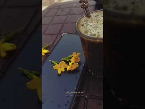 اغنيه لا احد يفكر بي ترند تركيا