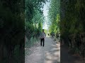 “Jadon frame बोलदा te vibe apne ਆਪ story bana dindi aa. 🎥✨” #viralvideo #youtubeshorts #shortvideo