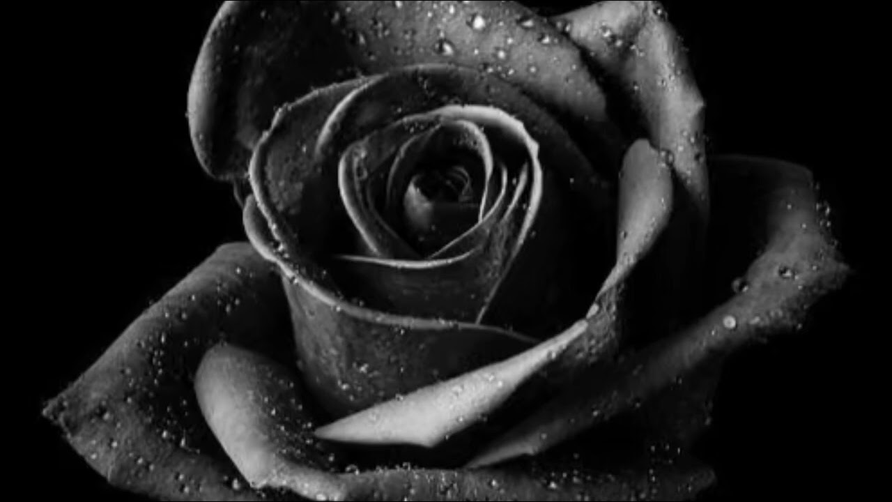 The Weeknd (feat. Future) - Low Life [remix] 