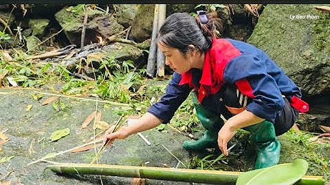 A Single Mother’s Daily Meal in the Deep Forest