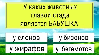 картинка: Тест для эрудитов 🤯 Викторина, которую проходят не все  #тестнаэрудицию #тесты #эрудиция