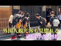 京都祇園 【外国人観光客も見惚れる】挨拶回りをされる祇園甲部舞妓さん Maiko and Geisha in Gion,Kyoto 【4K】Hassaku