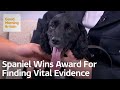 The Abandoned Spaniel Who Became Police Force's First Digital Detective
