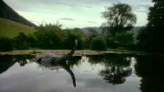 Loch Ness Monster: Real Evidence or Enduring Mystery?