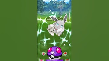 ✨ Shiny ✨ Eevee Catch in Wild Pokemon Go in Eevee Community Day #pokemongo #eevee #shinypokemon