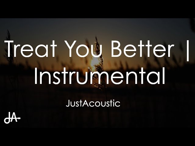 Treat You Better - Shawn Mendes (Acoustic Instrumental) class=