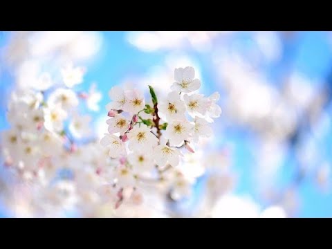 Закрой глаза, рисуй