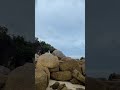 Nature video#nature #foryou #viral #fyp #viral