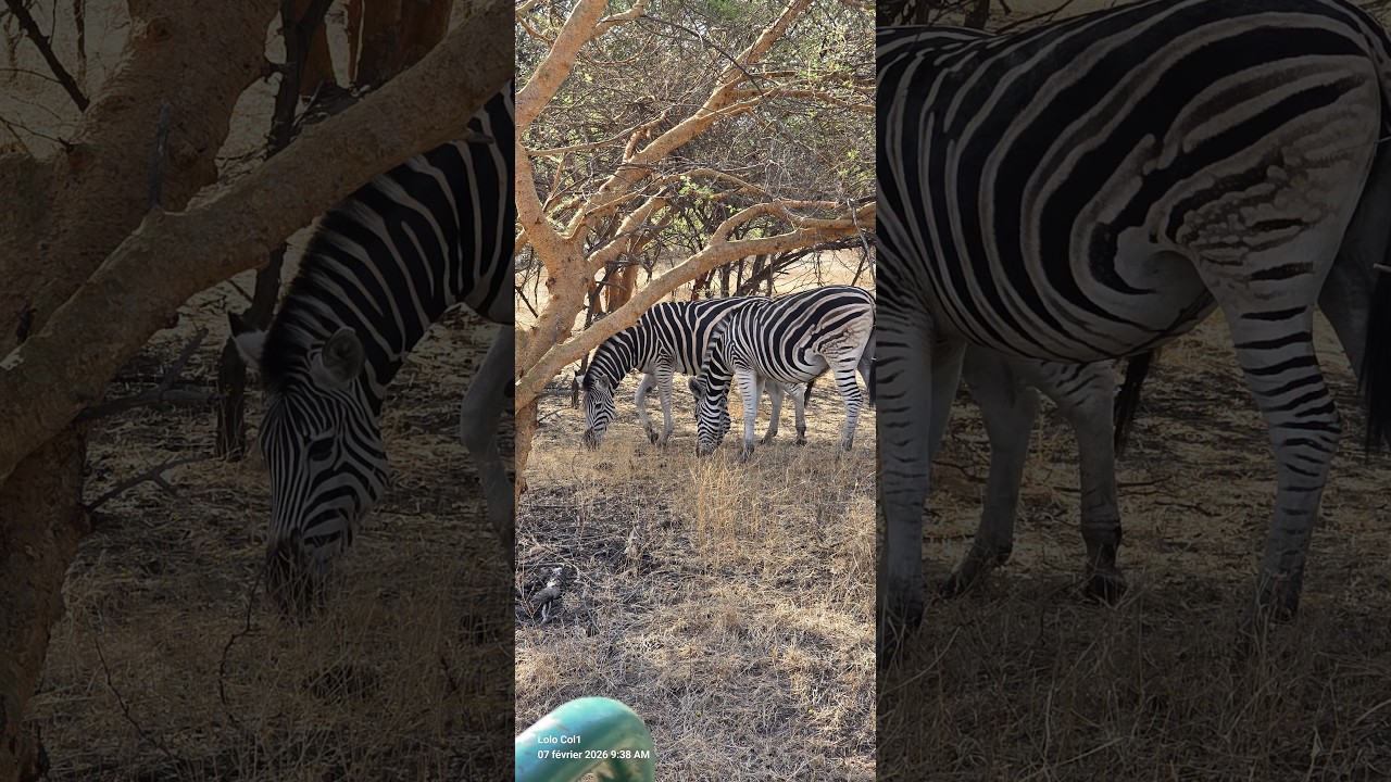 BANDIA LAC BABA 07 FEV