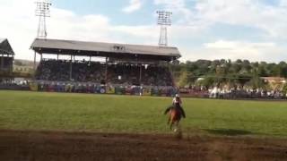 2013 Barrels....Pendleton Roundup