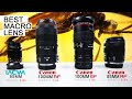LAOWA 85MM F/5.6 2x Ultra Macro vs Canon RF 100MM Macro vs Canon EF 100MM Macro vs Canon 85mm Macro