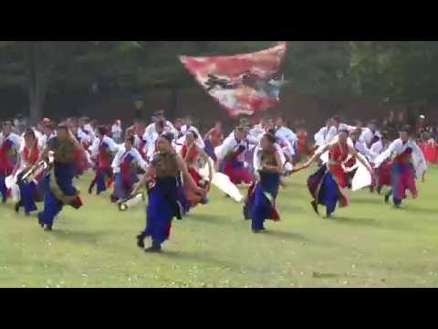 疾風乱舞 『かぐやの舞』（第一位）／芝生流し会場／あっぱれ富士2015