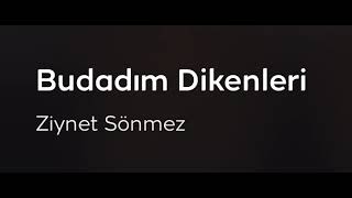 THM - Budadım Dikenleri (Ziynet SÖNMEZ)
