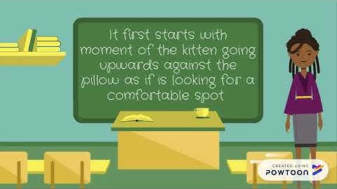 12 Principle of animation:  Secondary Action