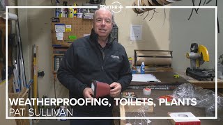Ready, Set, Grow with Pat Sullivan: Weatherproofing your home, toilets and houseplants