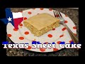 The BEST Peanut Butter Cake I Have Eaten - Peanut Butter Texas Sheet Cake &amp; Peanut Butter Icing