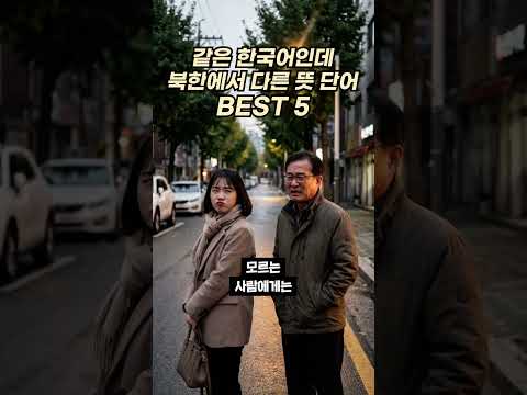남한과 북한에서 완전히 다른 의미로 쓰이는 일상 단어 BEST 5 #북한말 #남북언어 #언어차이 #신기한단어 #지식쇼츠 #문화차이