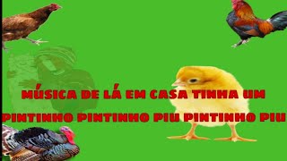 (música lá em casa tinha um pintinho piu um pintinho piu ) jogo Bird Land: Passarinho Pet Shop screenshot 2