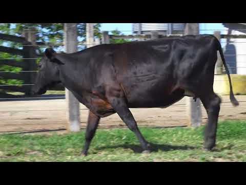 LOTE 36 723