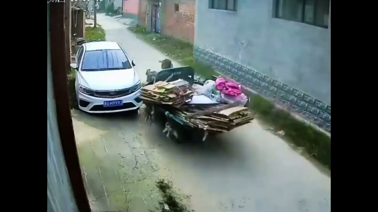 Oh my God—somebody catch this runaway tricycle! 💨       