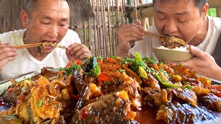 兩兄弟吃“油燜小鯰魚”,十幾條鯰魚一鍋燉,鮮香入味,下飯真爽【鐵鍋視頻】 兩兄弟吃“油燜小鯰魚”,十幾條鯰魚一鍋燉,鮮香入味,下飯真爽【鐵鍋視頻】