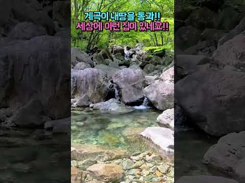 청정 계곡이 내땅을 지납니다!! 세상에 이런 집이 있네요!! 계곡 전원주택 매매 #shorts