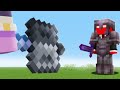 I Survived a Hardcore Minecraft Server..