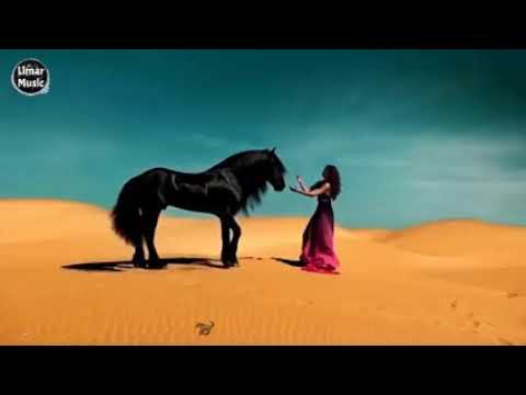 حالات واتس ياميمة