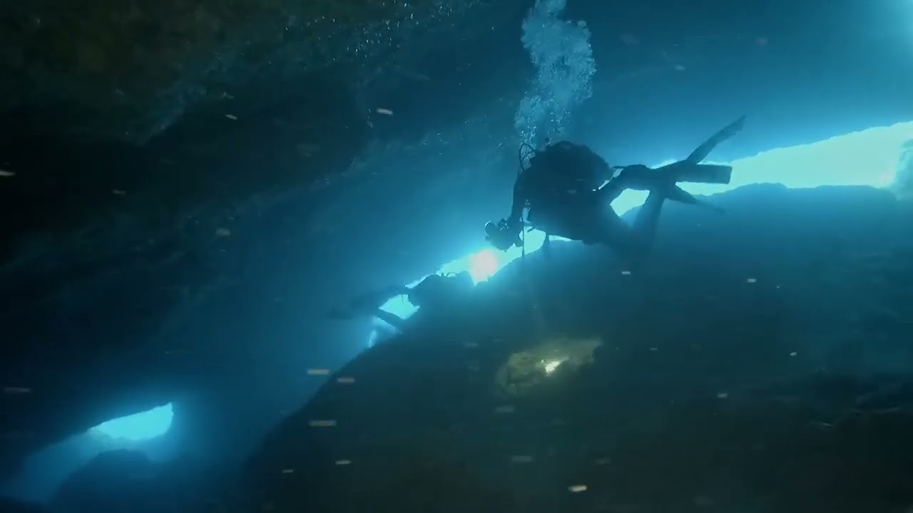 Scuba Diving Ustica June 2024