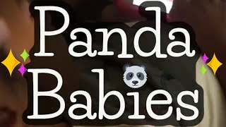 Panda Babies Playhome Interactive App [donations are made for every game download] HELP SAVE PANDAS! screenshot 5