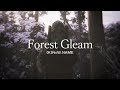 TVアニメ『Fairy gone フェアリーゴーン』第5話挿入歌「Forest Gleam」(K)NoW_NAME