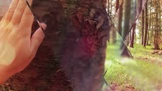 Discover Bras Deau National Park