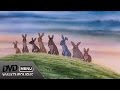 Watership Down 1978 2002 DvD Menu Walkthrough Watership Down 1978 2002 DvD Menu Walkthrough