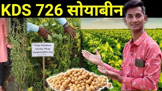 KDS 726 सबसे ज्यादा उपज देने वाली सोयाबीन वैरायटी || फुले संगम सोयाबीन  की नई उन्नत किस्म