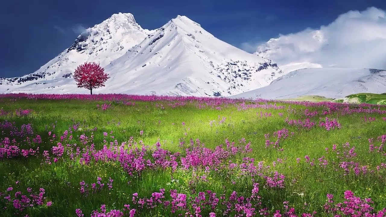 How Lovely is Thy Dwelling Place by Johannes Brahms - The Colorado Choir