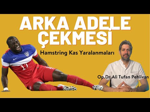 Arka Adele Çekmesi (Hamstring Kas Yırtığı) Nedir? Arka Adele Çekmesi Nasıl Tedavi Edilir?