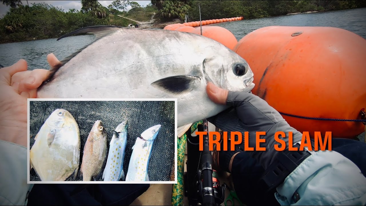 BIG PERMIT and Spanish Mackerel Showing Up at Anclote Power Plant 🏝️🎣