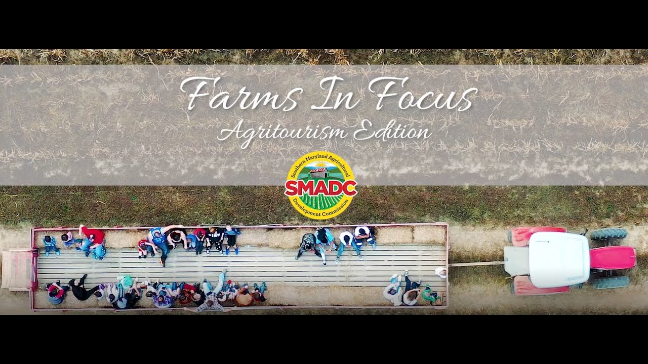 Farms in Focus: Agritourism Edition