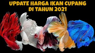 Update Daftar Harga Ikan Cupang Trend Terbaru 2021 | Ikan Hias Air Tawar Yang Cocok Di Aquarium screenshot 4