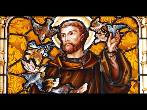 11 10 2025 CAPUCHIN TV LIVE ST FRANCIS OF ASSISI DEANERY KIAMBU FAMILY DAY 2025 