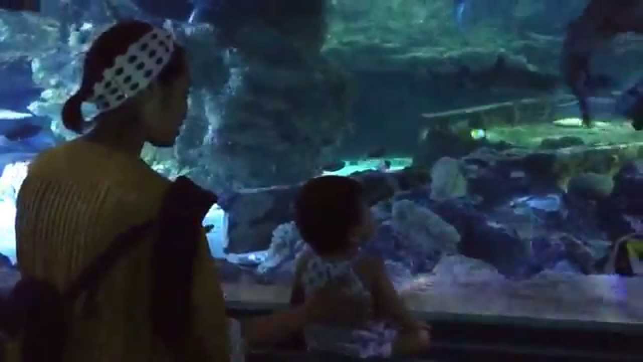 Underwater World Guam