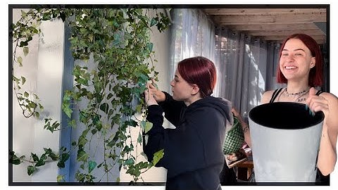 Diena su manimi 🦋 | AQVA | Pildyk