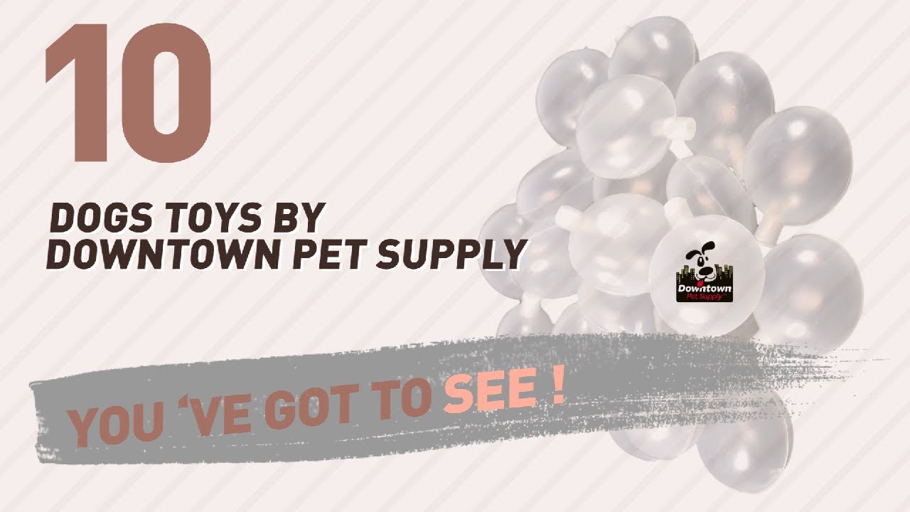 pet supplies supplier Dogs Toys By Downtown Pet Supply // Pets Lovers Most Popular