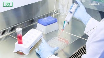 Cell attachment and air bubbles in the medium - Cell Culture Do´s and Don´ts Part 2