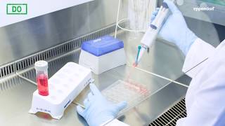 Cell attachment and air bubbles in the medium - Cell Culture Do´s and Don´ts Part 2