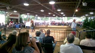 Foire agricole - fête foraine américaine